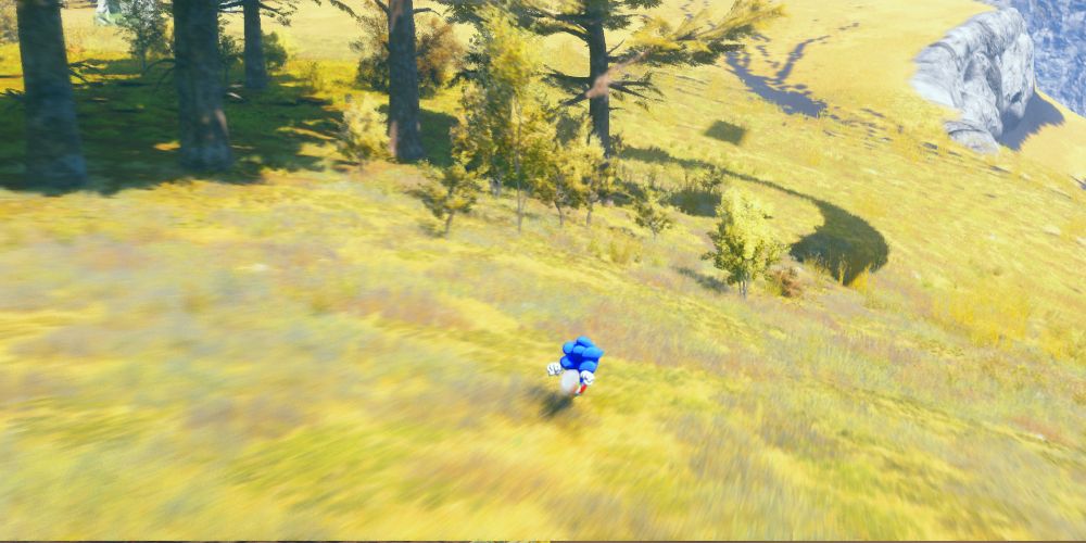 Sonic runnin across a yellow-green field.