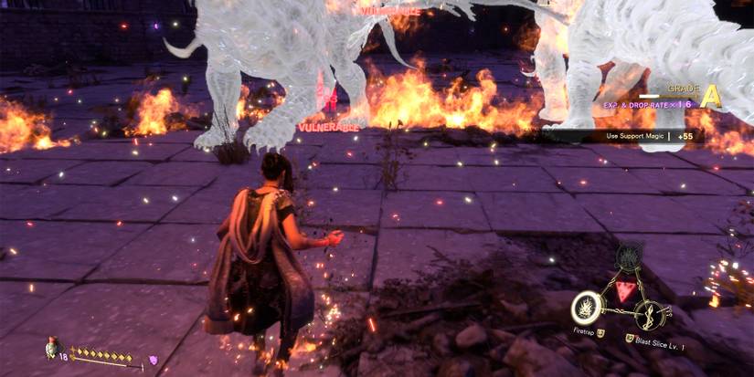 two proto amphicynodon in forspoken