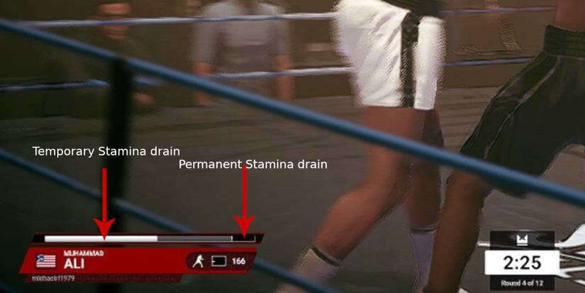 Undisputed the stamina bar temp and permanent