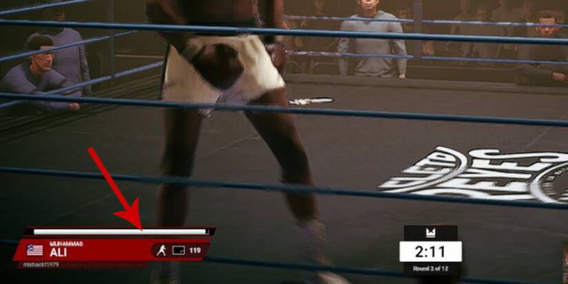 Undisputed the stamina bar