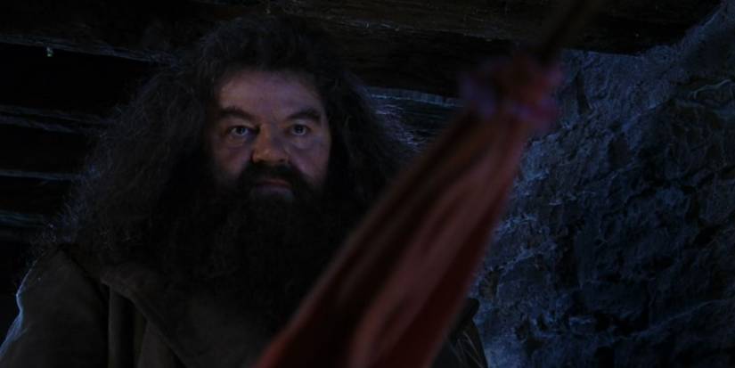 Hagrid casting a non-verbal spell on Dudley in Harry Potter and the Philosopher's Stone