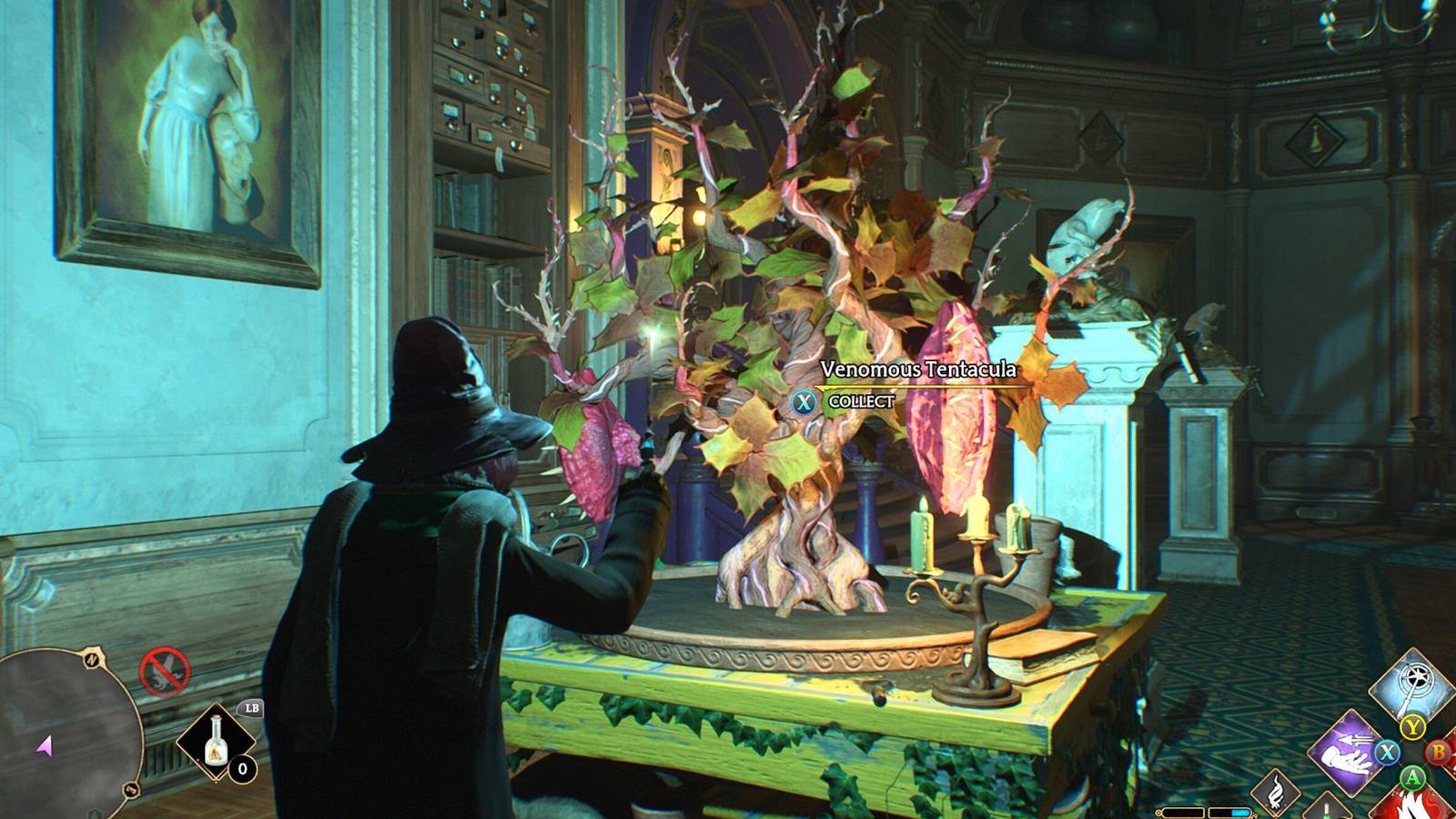 Venomous Tentcula plant in Room of Requirement in Hogwarts Legacy