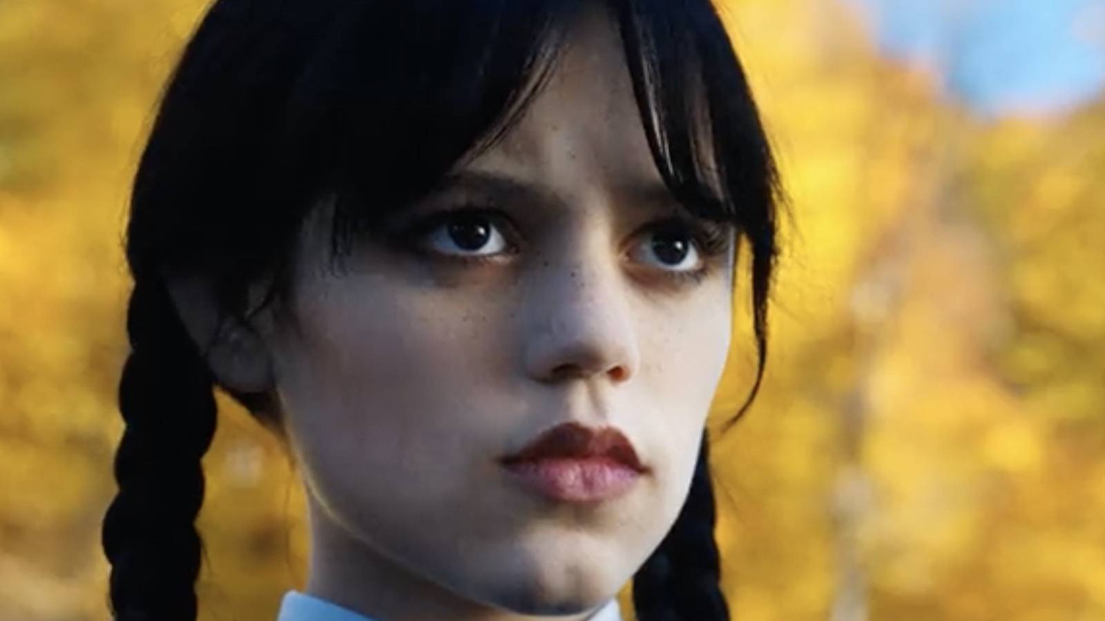 Wednesday Addams Show Netflix