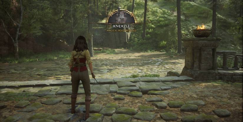 where to find kneazles in hogwarts legacy