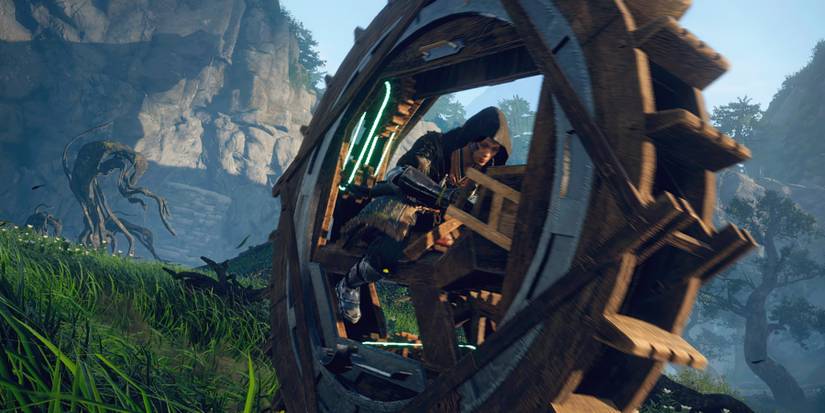 Wild Hearts - Burning Questions Header Image