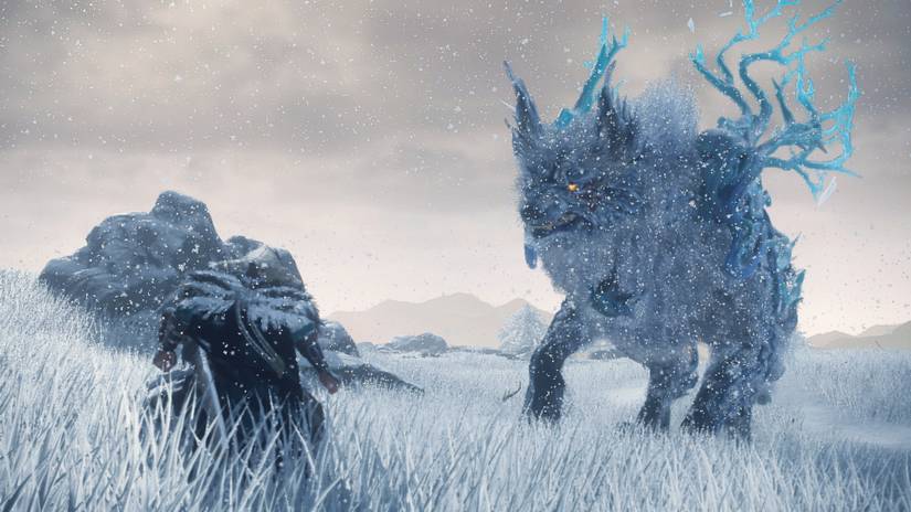 Wild Hearts Deathstalker