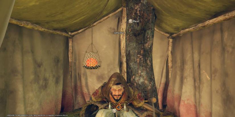 Wild-Hearts-Header-2