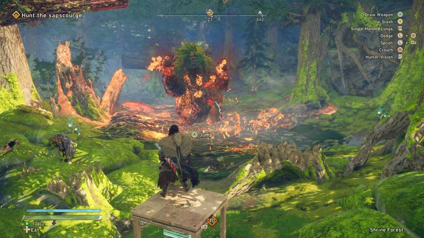 WIld Hearts Sapscourge Fight