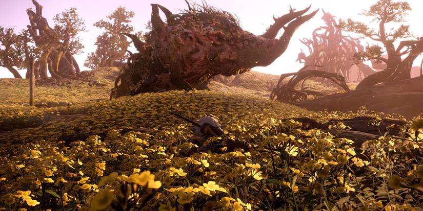 Wild Hearts - Sneaking Through A Field Of Flowers To Hunt A Kemono