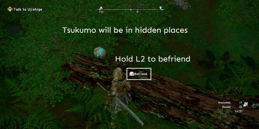 Wild-Hearts-Tsukumo-Location-1