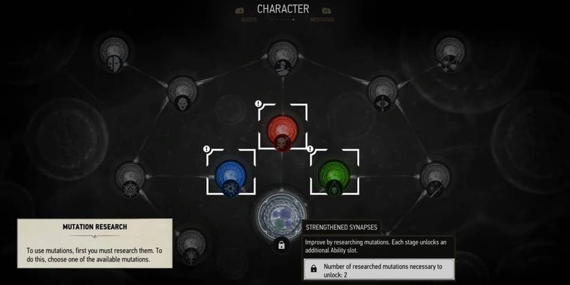 Witcher 3 - In-Game Mutation Tutorial