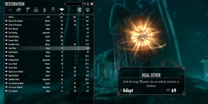 Skyrim Spellbook Heal Other