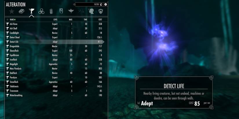 Skyrim spellbook detect life