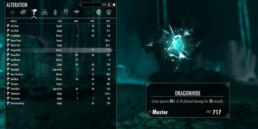 Skyrim spellbook Dragonhide