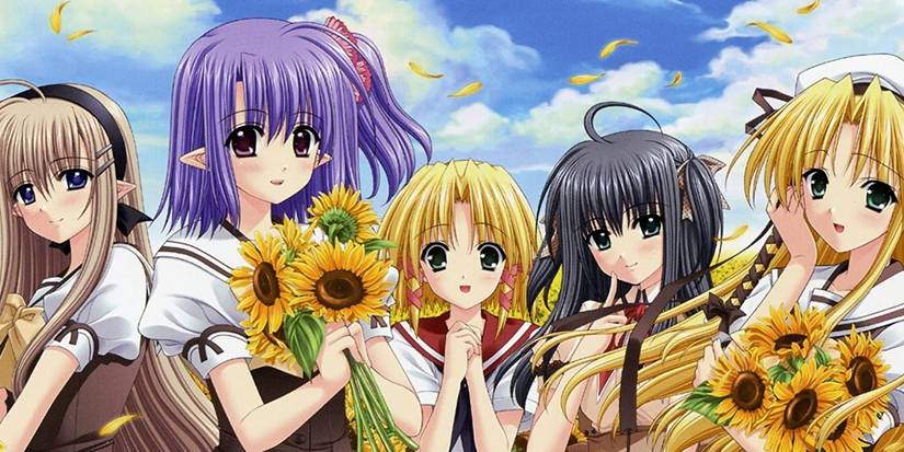 Shuffle Romance Harem