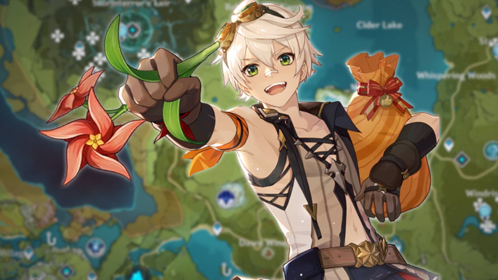 all windwheel aster locations in genshin impact