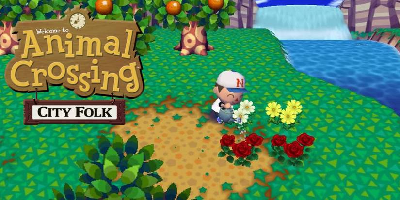 Animal Crossing City Folk