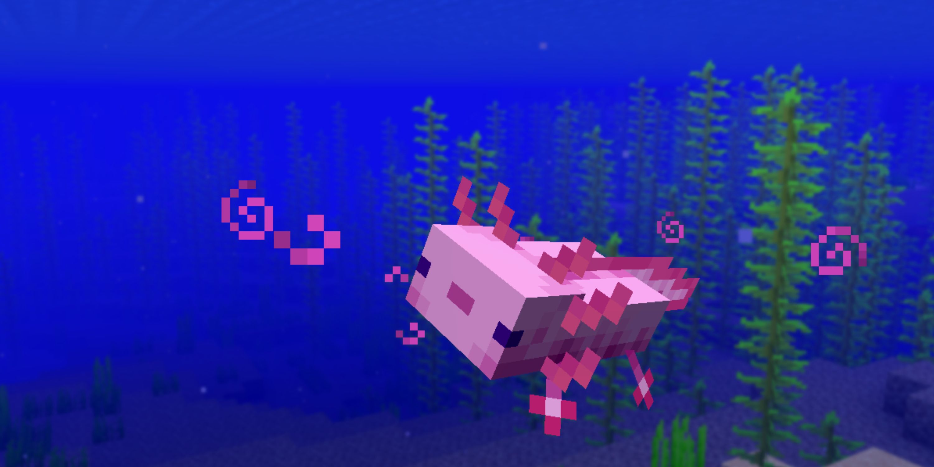 axolotl in the sea in minecraft-1