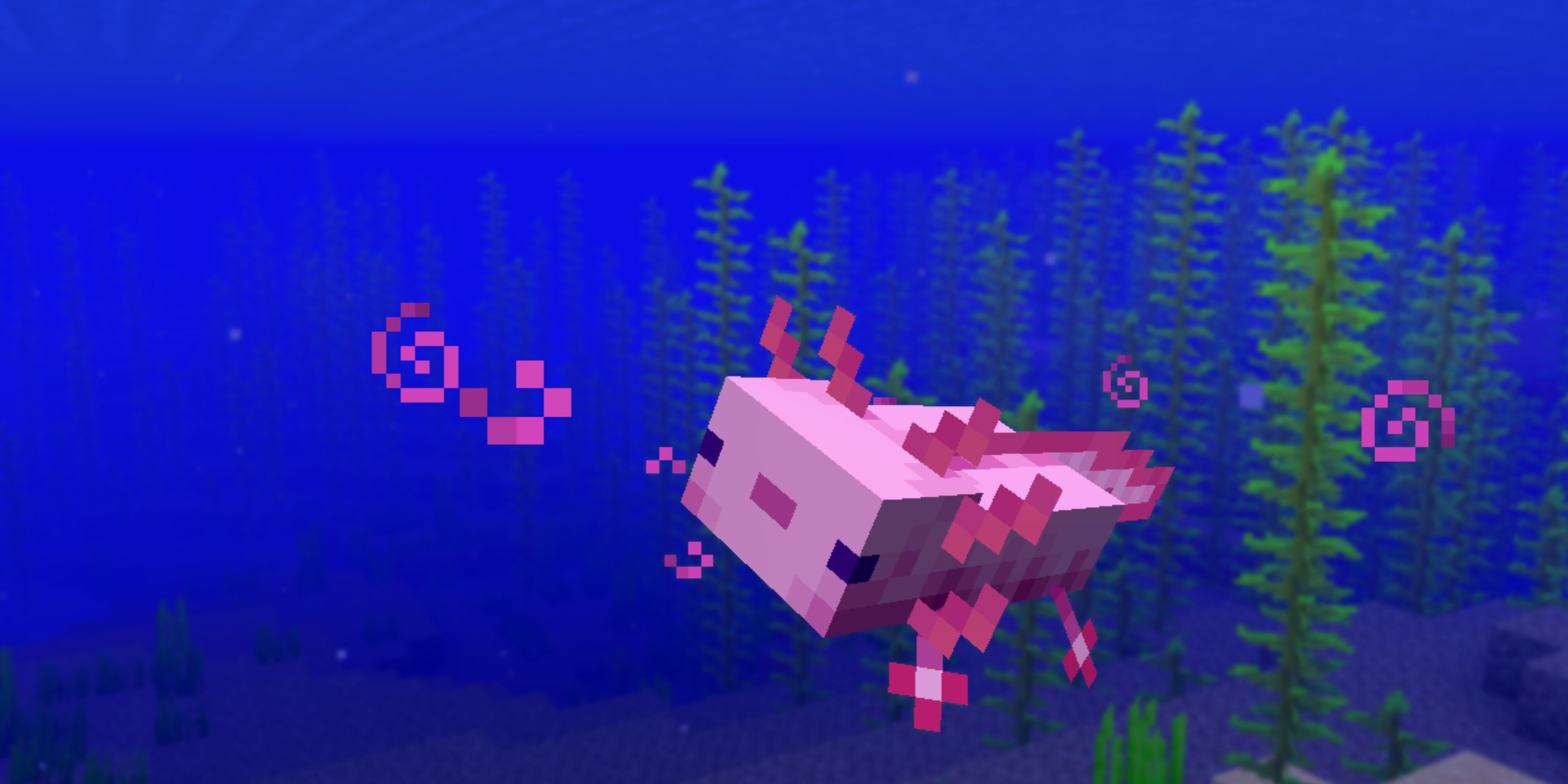 Minecraft Axolotl Facts Paper Writer