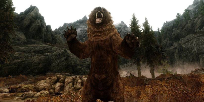 Skyrim bear standing