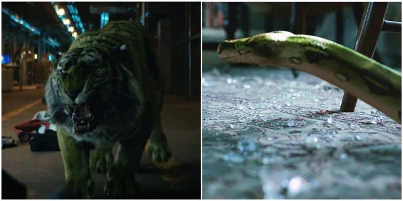 Beast Boy as a Tiger and Snake in DC's Titans