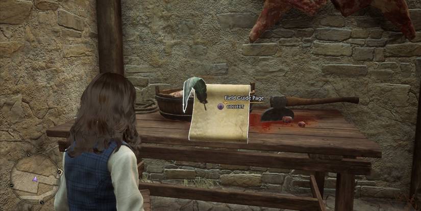 bell tower wing field guide page 1 location in hogwarts legacy