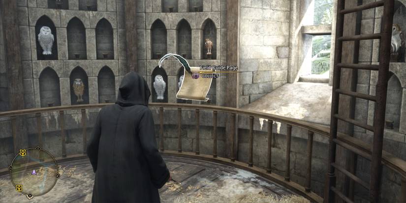 bell tower wing field guide page 11 location in hogwarts legacy