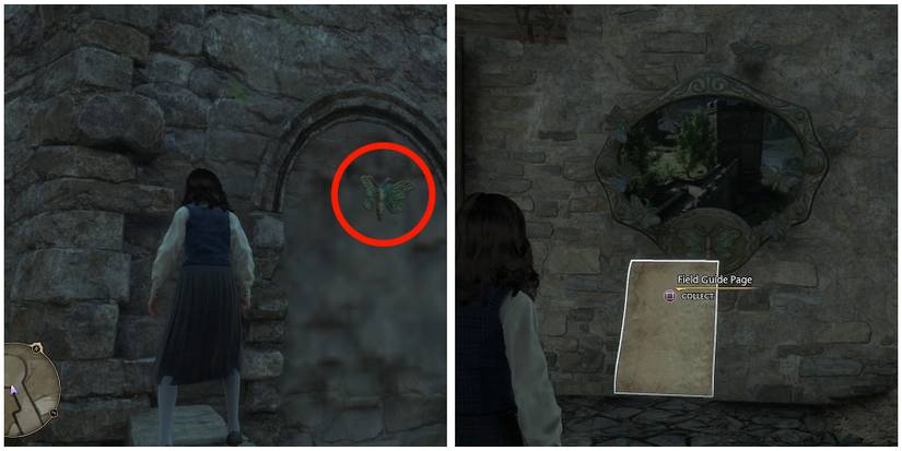 bell tower wing field guide page 3 location in hogwarts legacy