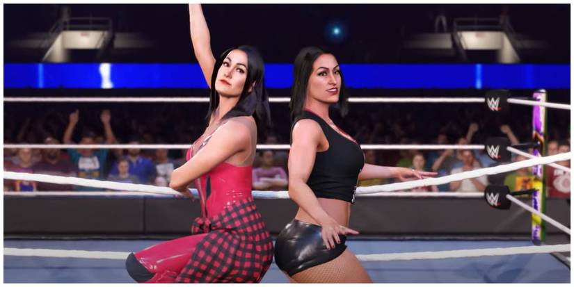 WWE's The Bella Twins standing back to back on the apron of the ring.