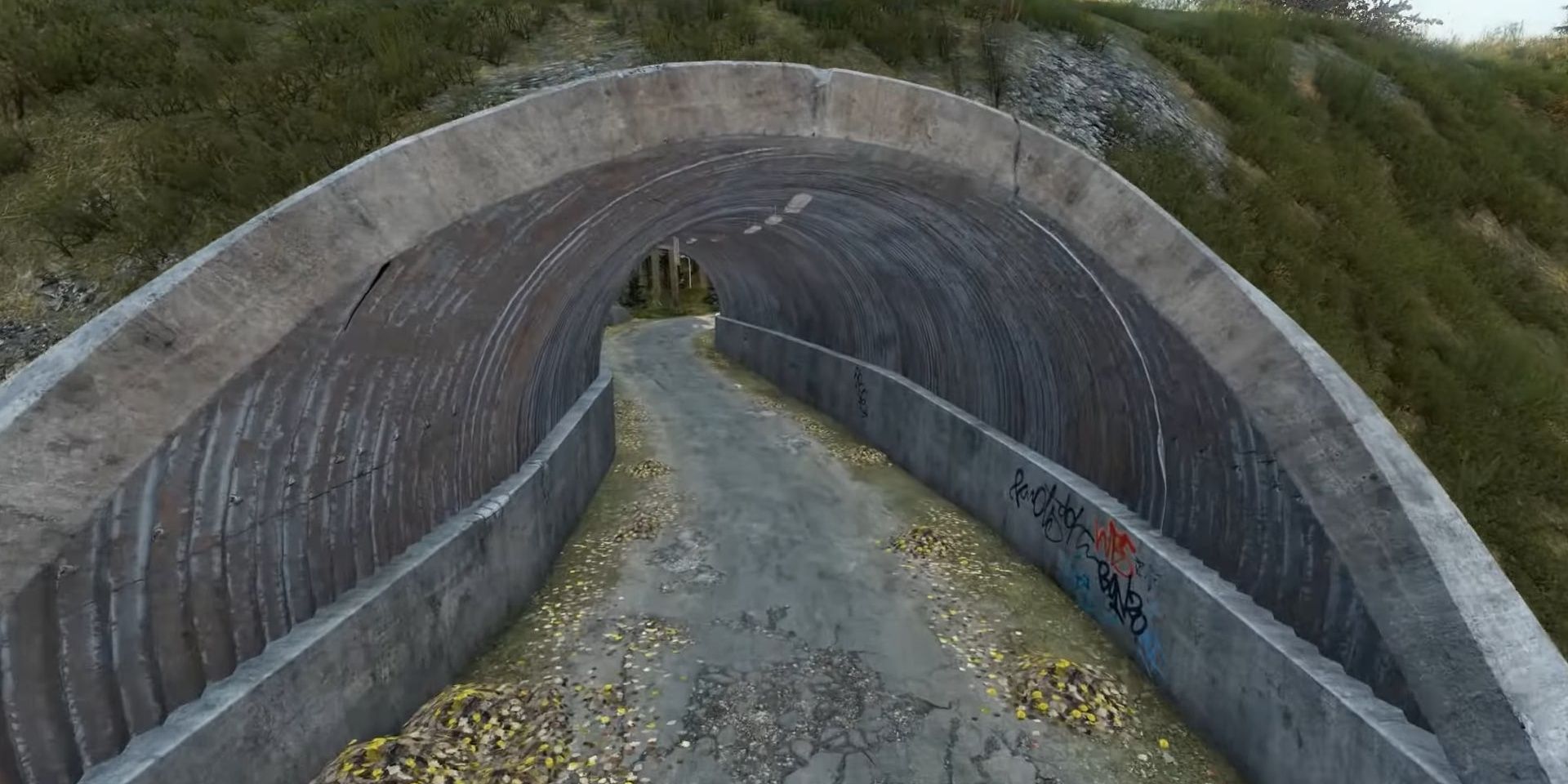 DayZ Biathlon Tunnel