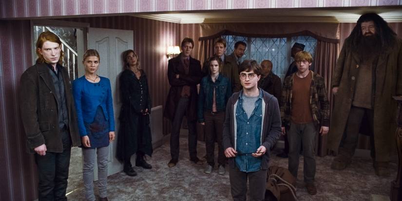 Bill-Fleur-Tonks-George-Fred-Hermione-Lupin-Harry-Fletcher-Kingsley-Ron-and-Hagrid