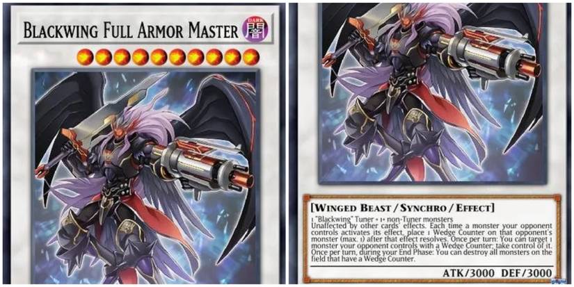 Black Wing Full Armor