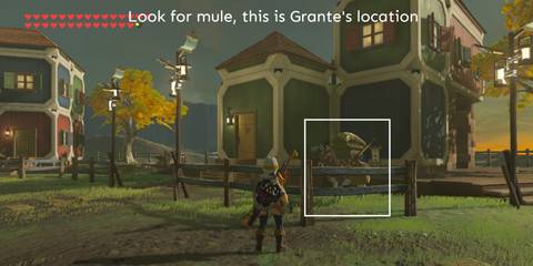 BotW-Grante-House