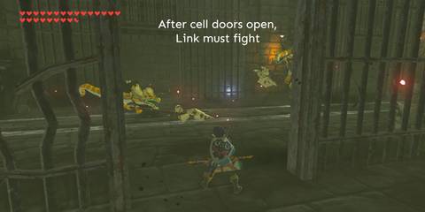 BotW-Hylain-Shield-Cell-Enemies