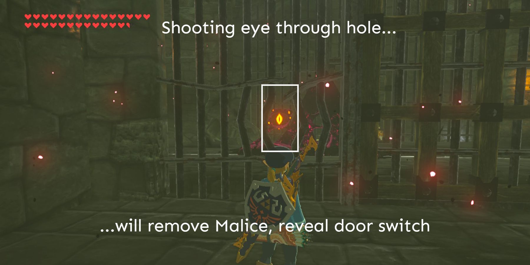 BotW-Hylain-Shield-Path-Eyeball