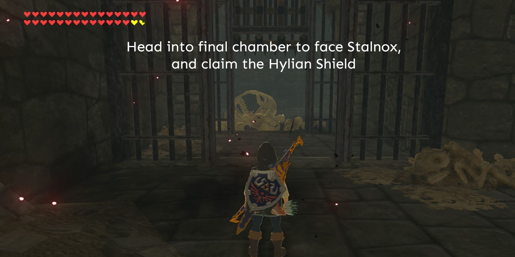 BotW-Hylian-Shield-Stalnox-Chamber