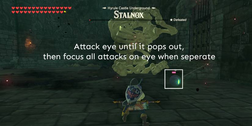 BotW-Stalnox-1