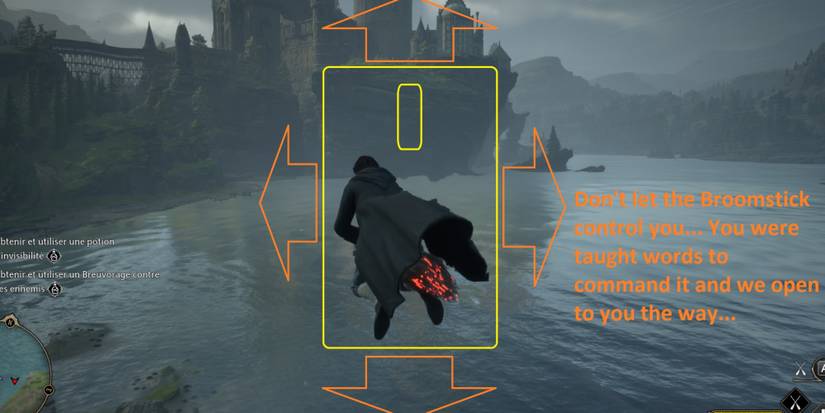 Broomstick Mouse Controls