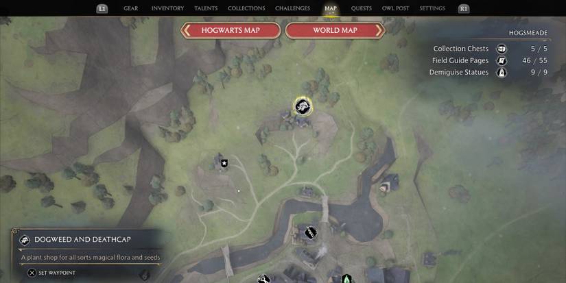 The Dogweed and Deathcap in Hogwarts Legacy