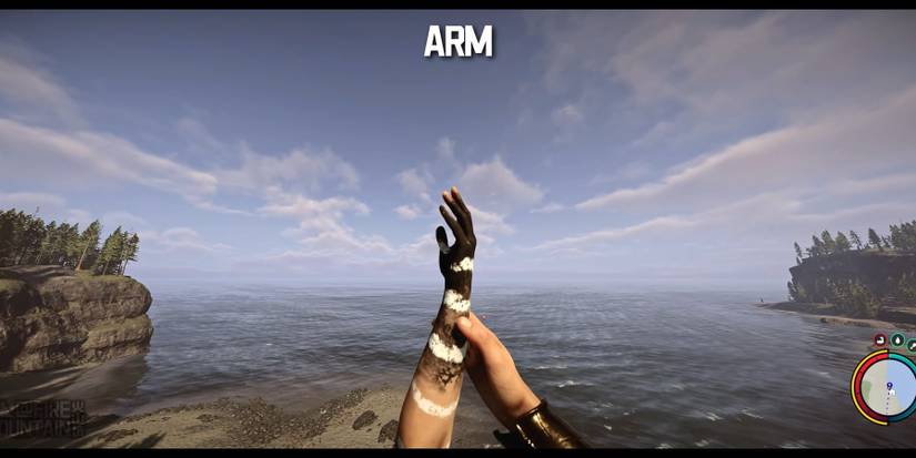 Sons Of The Forest Cannibal Arm