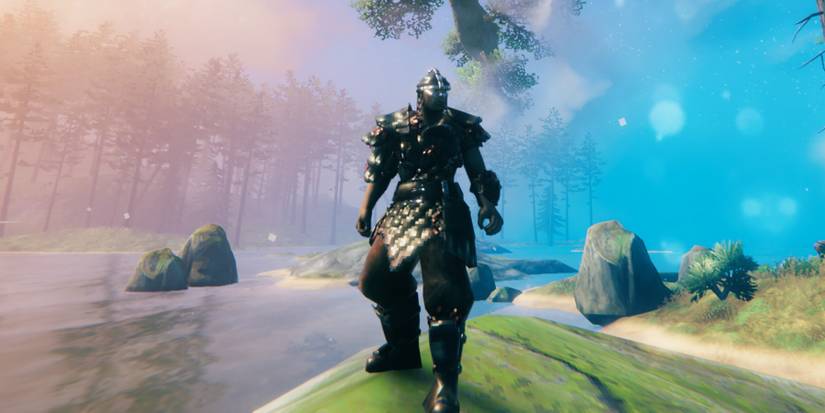 carapace armor valheim