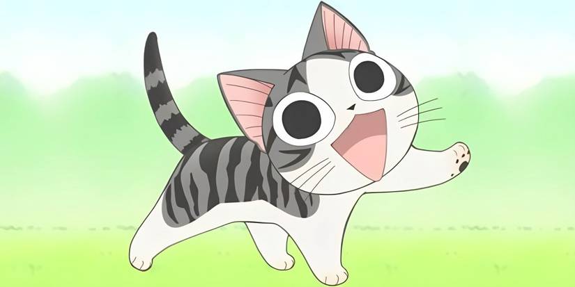 Chi from Chi's sweet home