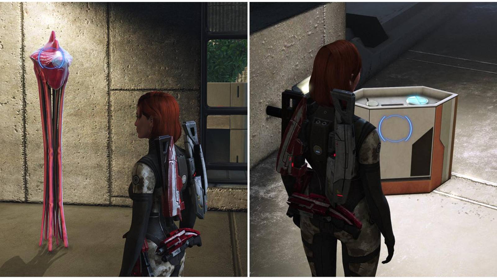 merchant opold and his package