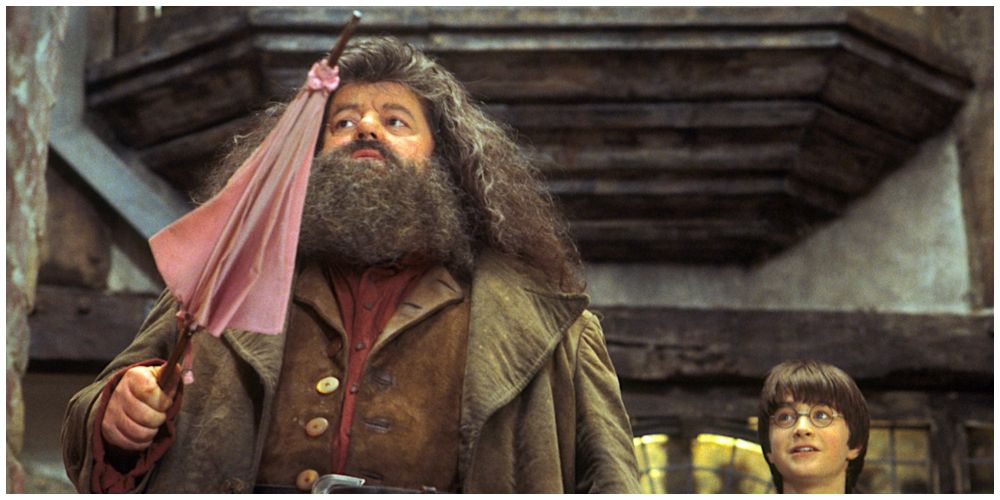 Robbie Coltrane as Rubeus Hagrid.  Daniel Radcliffe as Harry Potter.