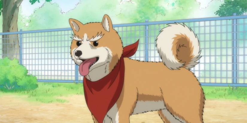 Oda Cinnamon Nobunaga