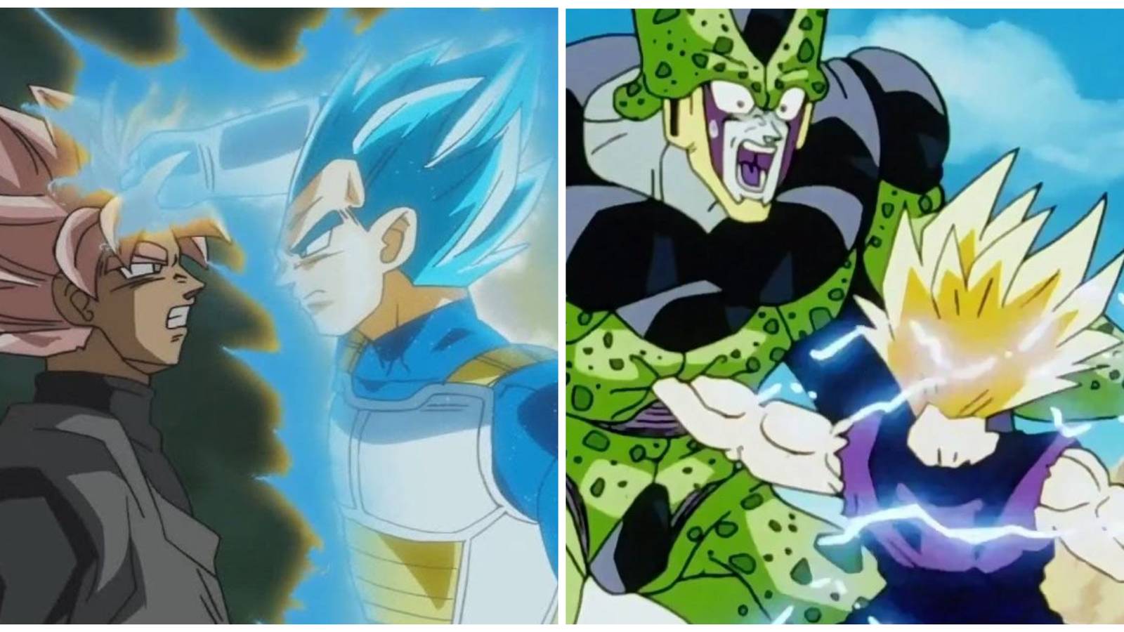 Dragon Ball: Fights With Great Thematic Importance