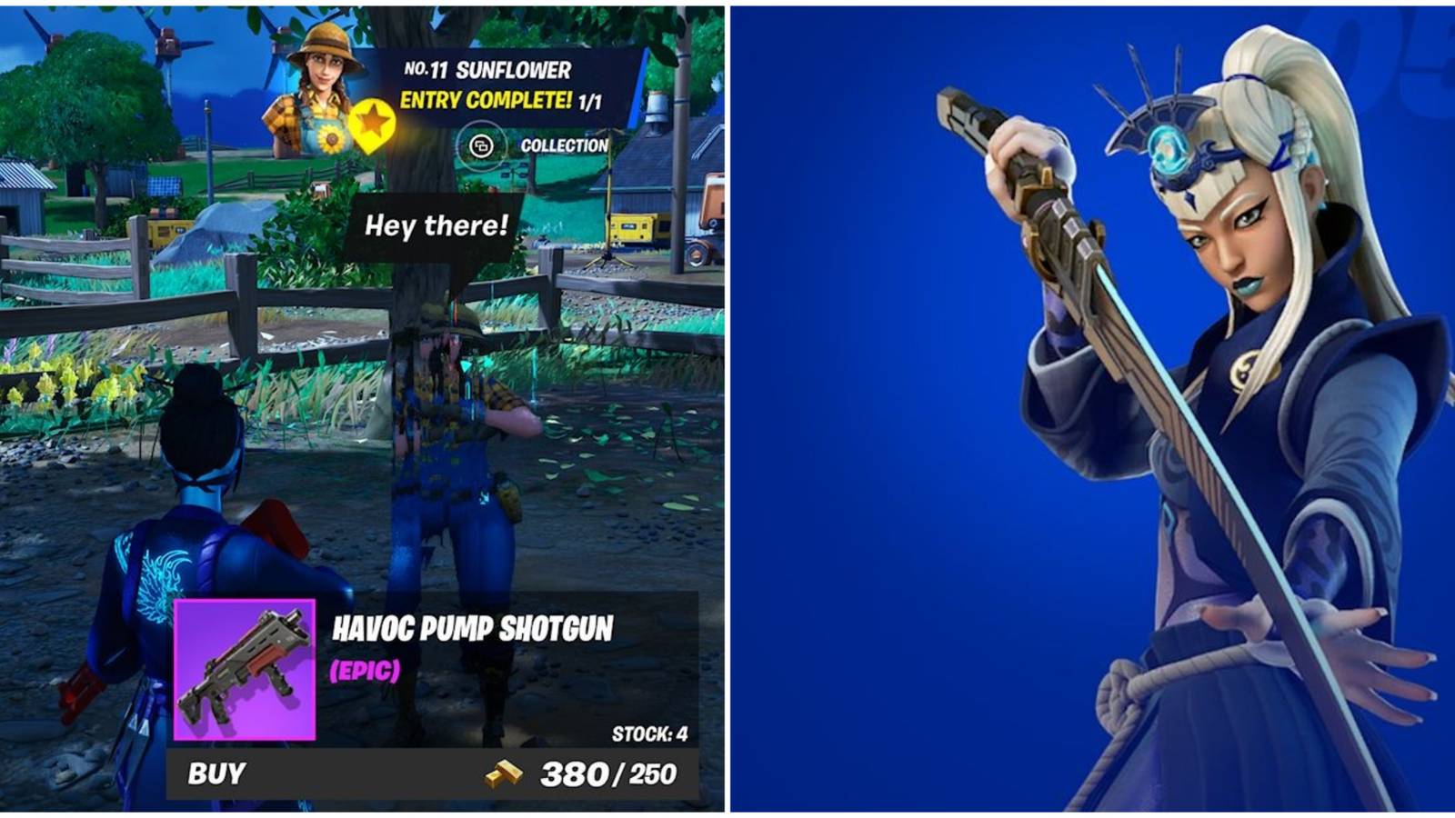 completing npc collection