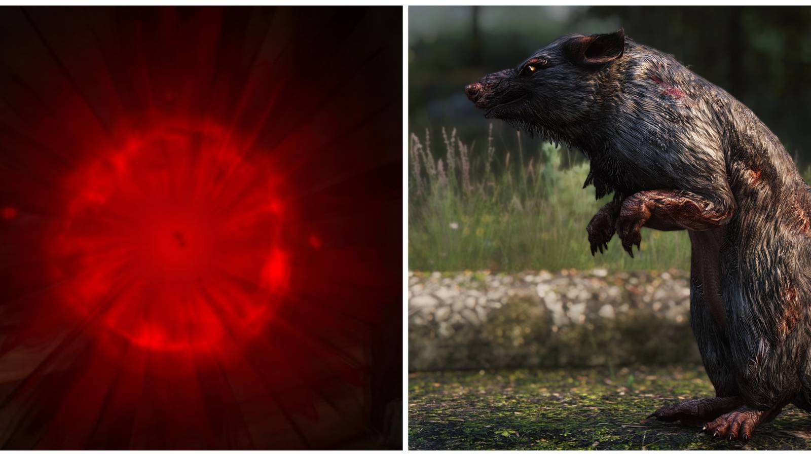 Split image, food poisoning menu image and Skyrim skeever