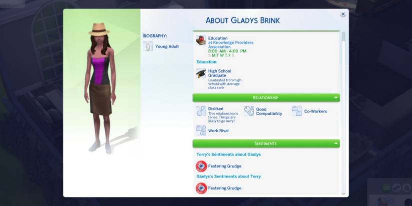 sims profile information for workplace rival