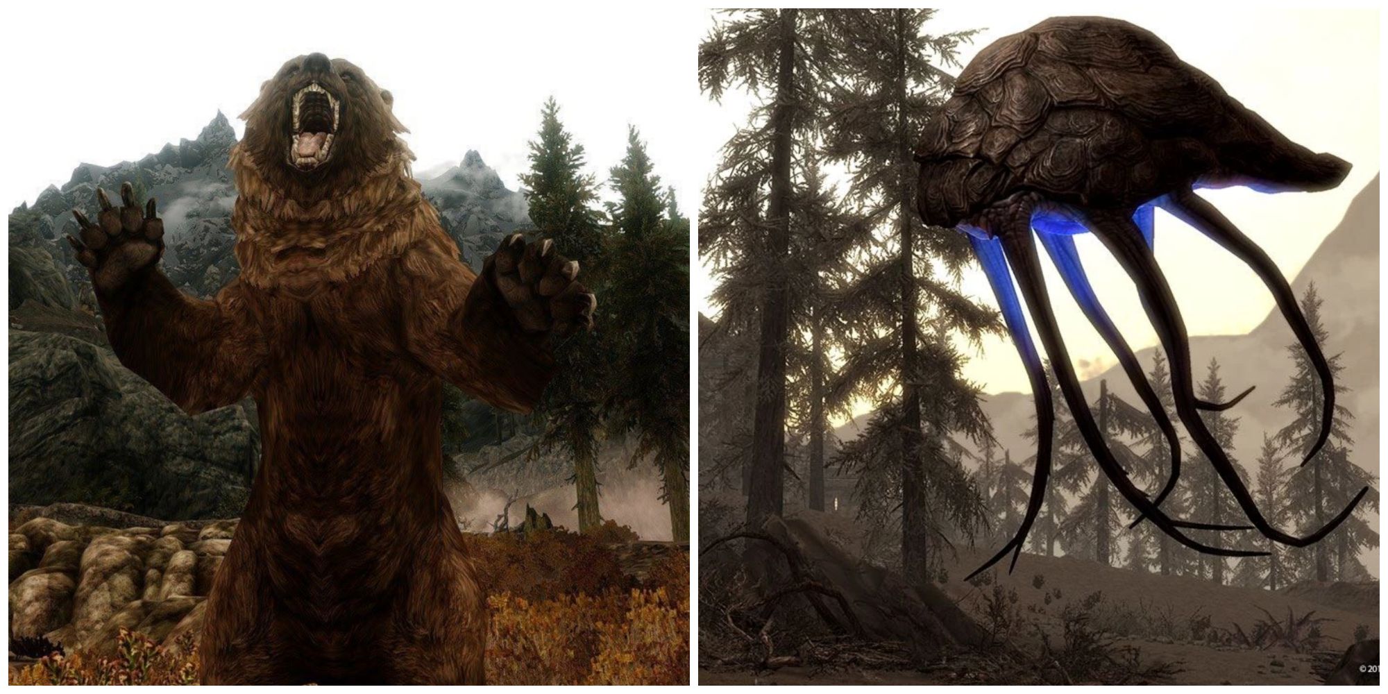 Split image, Skyrim bear and netch